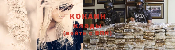 ПСИЛОЦИБИНОВЫЕ ГРИБЫ Богданович