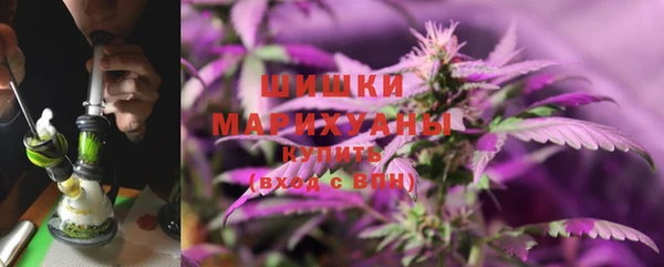 ПСИЛОЦИБИНОВЫЕ ГРИБЫ Богданович