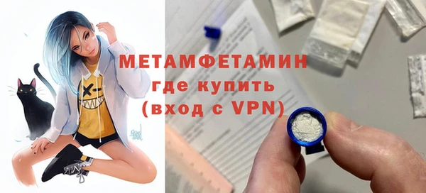 ПСИЛОЦИБИНОВЫЕ ГРИБЫ Богданович