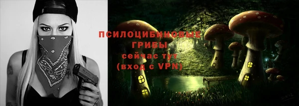 ПСИЛОЦИБИНОВЫЕ ГРИБЫ Богданович