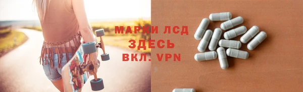ПСИЛОЦИБИНОВЫЕ ГРИБЫ Богданович