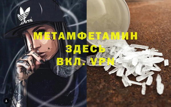 ПСИЛОЦИБИНОВЫЕ ГРИБЫ Богданович