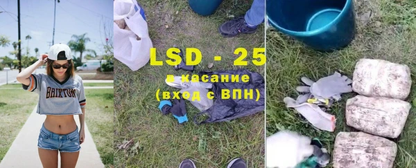 мескалин Богородицк