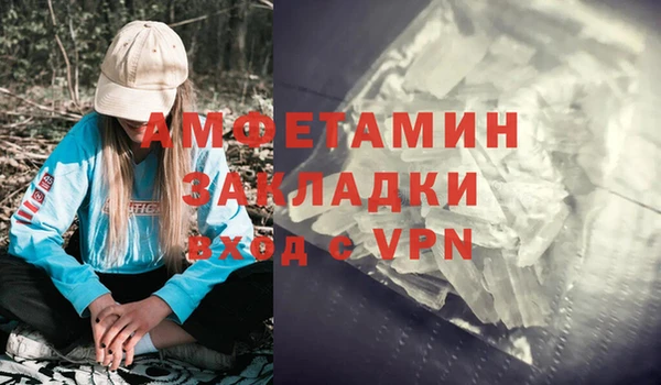 ПСИЛОЦИБИНОВЫЕ ГРИБЫ Богданович