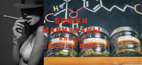 ПСИЛОЦИБИНОВЫЕ ГРИБЫ Богданович